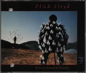 Pink Floyd - Delicate Sound Of Thunder = 光 Hikari~Perfect Live!