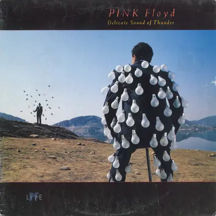 Pink Floyd - Delicate Sound of Thunder