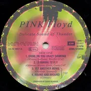Double LP - Pink Floyd - Delicate Sound Of Thunder