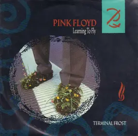 Pink Floyd - Learning To Fly