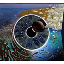 Double CD - Pink Floyd - Pulse