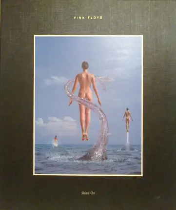 Pink Floyd - Shine On