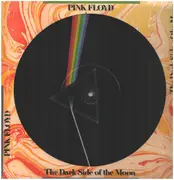 Picture LP - Pink Floyd - The Dark Side Of The Moon - Ltd. Edition
