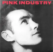 7inch Vinyl Single - Pink Industry - What I Wouldn't Give