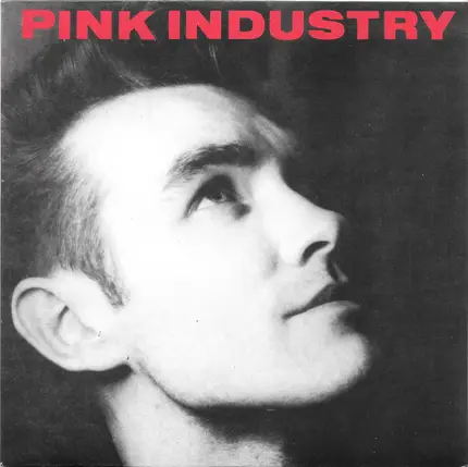 Pink Industry - What I Wouldn't Give