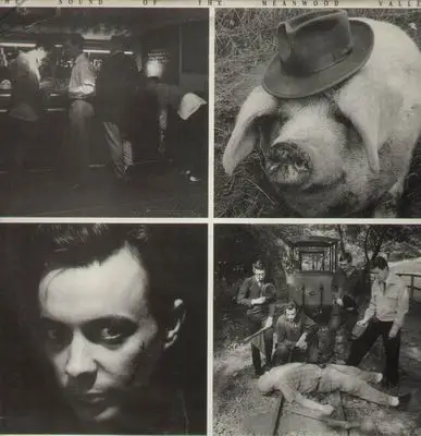 Pink Peg Slax - The Sound of Meanwood Valley