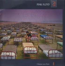 Pink Floyd - A Momentary Lapse of Reason