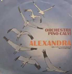 Pino calvi - Alexandra