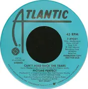 Picture Perfect - Can't Hold Back The Tears