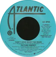 Picture Perfect - Can't Hold Back The Tears