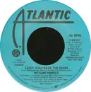 7inch Vinyl Single - Picture Perfect - Can't Hold Back The Tears