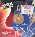 12inch Vinyl Single - Picture Perfect - Prove It, Boy