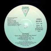 LP - Picture - Every Story Needs Another Picture