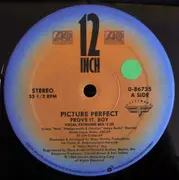 12'' - Picture Perfect - Prove It, Boy