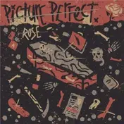 Picture Perfect - Rose