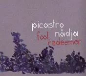Picastro - FOOL, REDEEMER