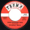 7inch Vinyl Single - Piccadilly Circus - These Changing Times