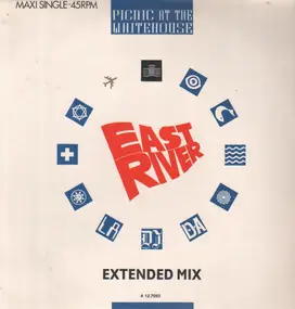picnic at the whitehouse - East River (Extended Mix)