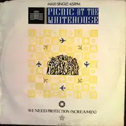 12'' - Picnic At The Whitehouse - We Need Protection (Screamix)
