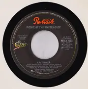 7inch Vinyl Single - Picnic At The Whitehouse - East River