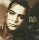 7inch Vinyl Single - Picnic At The Whitehouse - Success