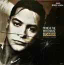 12inch Vinyl Single - Picnic At The Whitehouse - Success