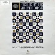 12inch Vinyl Single - Picnic At The Whitehouse - We Need Protection (Mother-Mix)