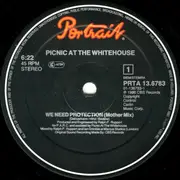 12inch Vinyl Single - Picnic At The Whitehouse - We Need Protection (Mother-Mix)