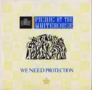 7inch Vinyl Single - Picnic At The Whitehouse - We Need Protection