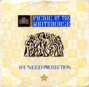 7'' - Picnic At The Whitehouse - We Need Protection