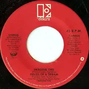 7inch Vinyl Single - Pieces Of A Dream - Ice Cream