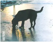 CD - Piers Faccini - Leave No Trace