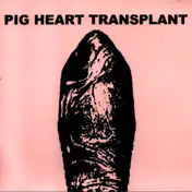 Pig Heart Transplant - They Eat What We Eat