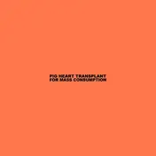 Pig Heart Transplant - For Mass Consumption
