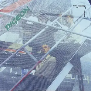 Pigeon - Deny All Knowledge Of Complicity