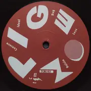 12inch Vinyl Single - Pigeon - Bug - Single Sided