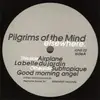 12inch Vinyl Single - Pilgrims Of The Mind - Elsewhere