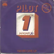 7inch Vinyl Single - Pilot - January / Never Give Up