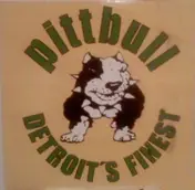 Pittbull - What ?