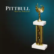 CD - Pittbull - New All-Time Low