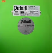 Pitbull - Back Up / Dammit Man
