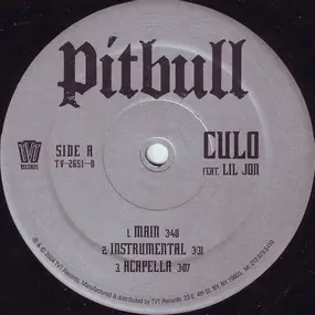 Pitbull - Culo / That's Nasty (Remix)