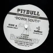 Pitbull - Down South / Playa Haters