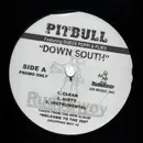 12inch Vinyl Single - Pitbull - Down South / Playa Haters - RAR Promo