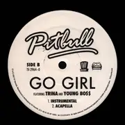12inch Vinyl Single - Pitbull - Go Girl