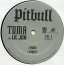 12'' - Pitbull - Toma