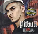 CD & DVD - Pitbull - Money Is Still A Major Issue