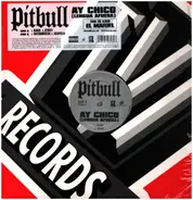 Pitbull - AY Chico
