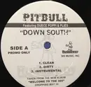 12'' - Pitbull Featuring Duece Poppi & Plies / Pitbull Featuring Cubo , Salazar & Jean Rodriguez - Down South / Playa Haters - Promo