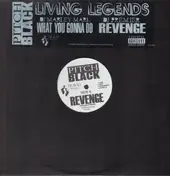 Pitch Black - What You Gonna Do / Revenge